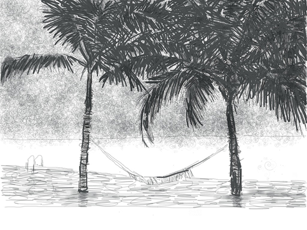 Five sketches of two palm trees, a hammock and the rest.